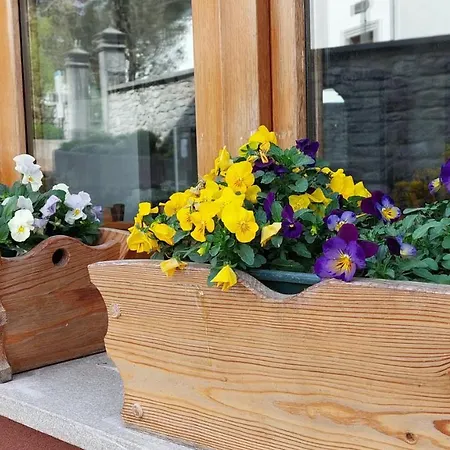 Hotel Al Pino *